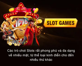 Giấy phép và quy định hoạt động hợp pháp của 79king01